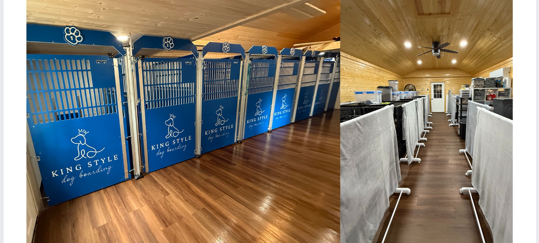 King Style Dog Boarding premium facility