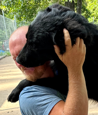 Premium boarding suites